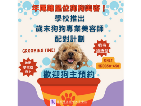 學校推出歲末狗狗專業美容師配對計劃
