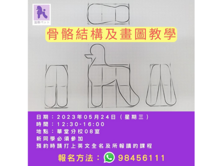 骨骼結構及畫圖教學