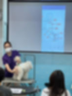 學習狗狗美容需要了解狗狗骨骼結構和畫圖