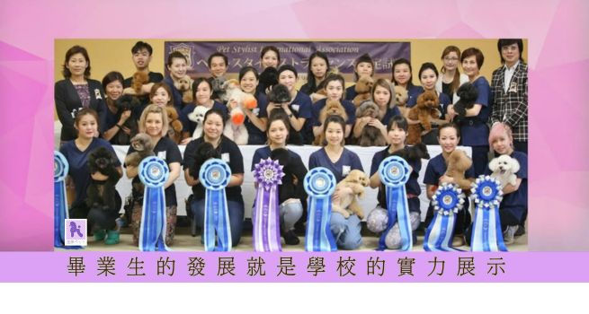 學習寵物美容課程的一些建議