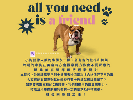 第一步都在沖涼堂學起