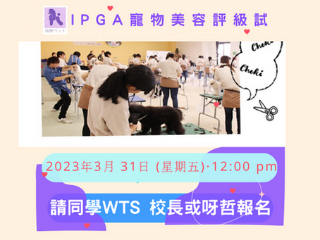 IPGA國際專業寵物美容協會C、B級證書考試