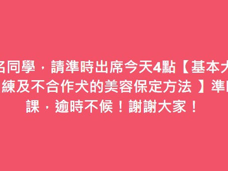 基本犬隻行為訓練及不合作犬的美容保定方法