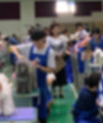 鄧老師在東京