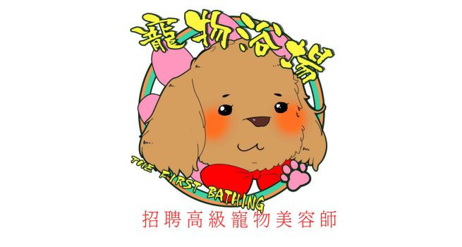 招聘高級寵物美容師