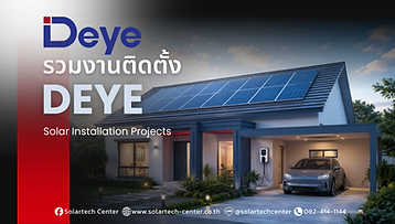 DEYE (1).png