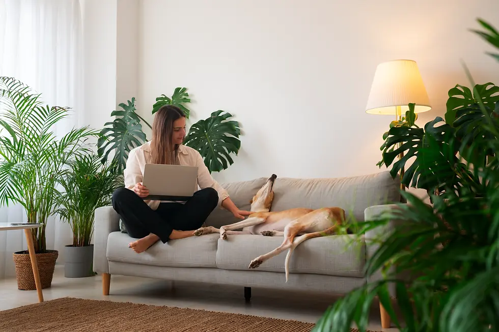 woman-working-home-from-laptop-with-greyhound-dog-couch-converted-from-jpg.webp
