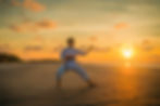 martial arts.jpg