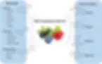 berries components