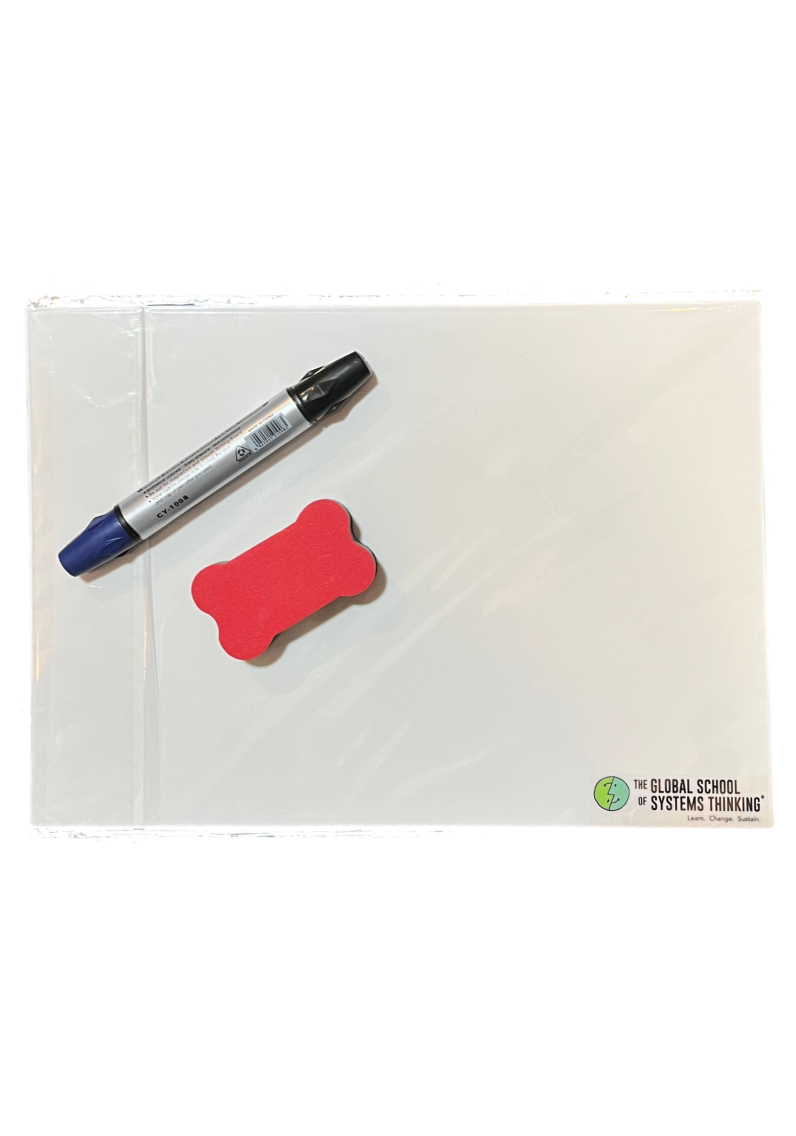 Systems Thinking Learning Kit