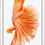 Miniatura: IPhone 6 plus Apple