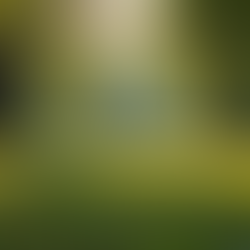 Feeling overwhelmed? Try these top five stress-busting tactics for a more relaxed you!