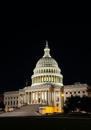 US Capitol At Night.jpg