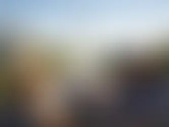 How to See DC Monuments the Easy Way