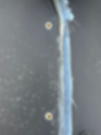 Rusted unsealed rivets