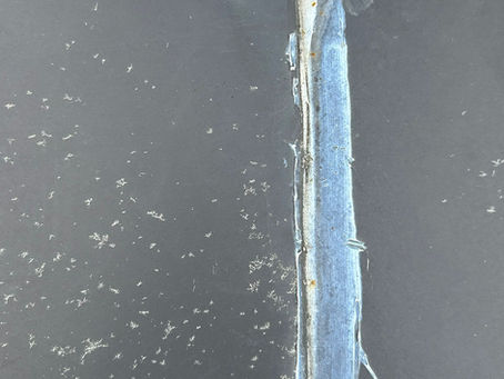 Why Blind Rivets Leak and How to Fix Them
Auckland Skylights | Roof Maintenance & Leak Repair