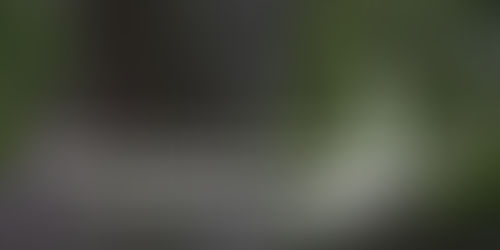 Venus in Your Birth Chart Offers Wisdom for Your Life Path