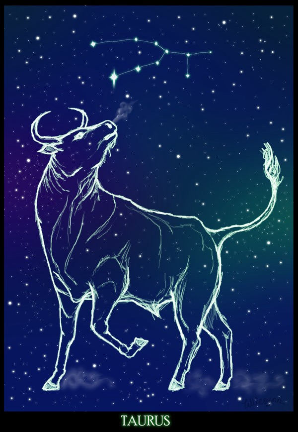 taurus.jpeg
