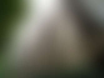 Simplify Your Search with Portland Rental Services