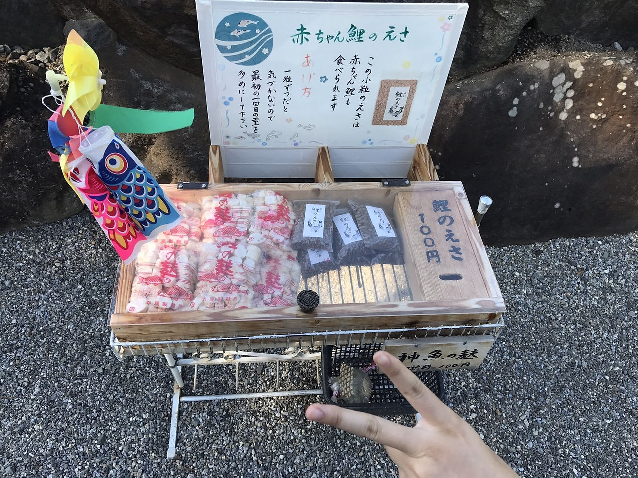 合宿3日目_170924_0009