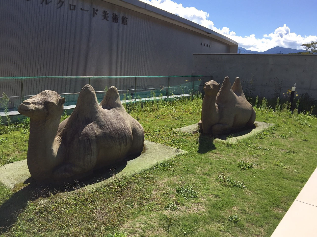 合宿3日目_170924_0136