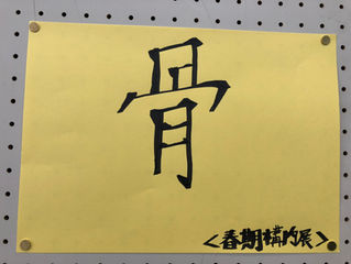 春の展示について