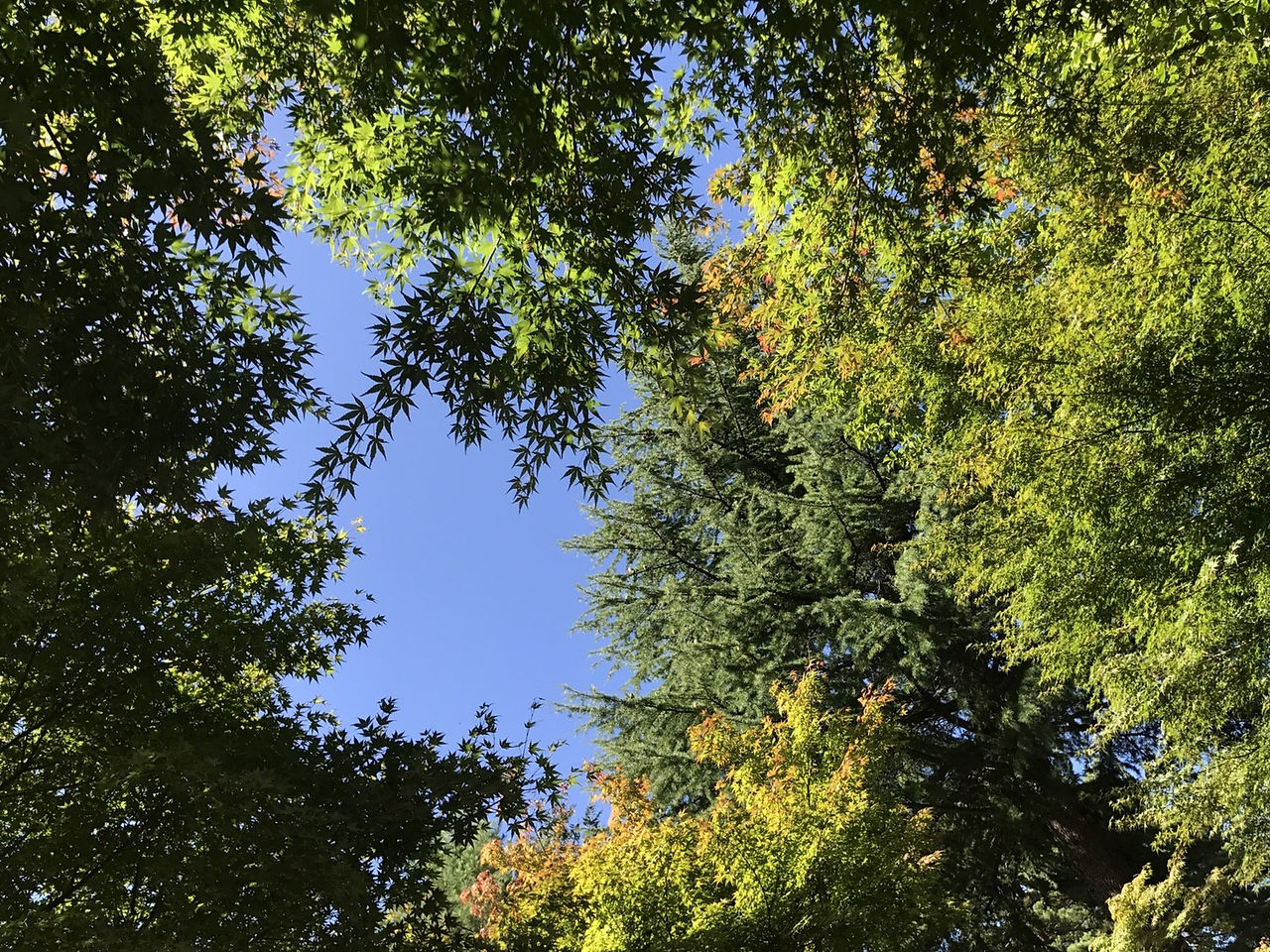 合宿3日目_170924_0010