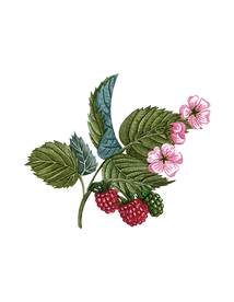 Untitled design_edited.png