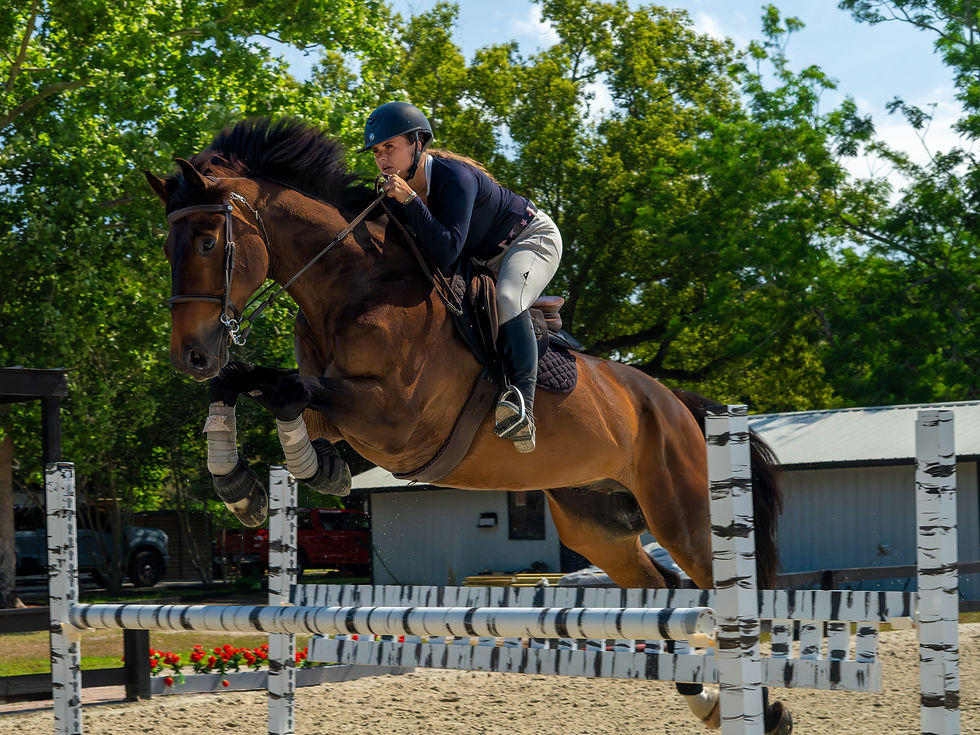 _DSC2128-Enhanced-NR-2