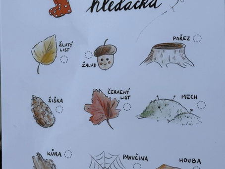 ŽIŽKOV: Project Day - 🍁Leaves🌿