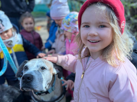 ŽIŽKOV: ✨Canisterapie s Ronniem a Alfiem!✨🐶🐕🐕‍🦺