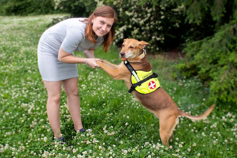 ŽIŽKOV: Canisterapie