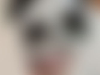 ŽIŽKOV:✨Meda's Birthday Party✨🐼🐵