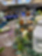 image3.jpeg
