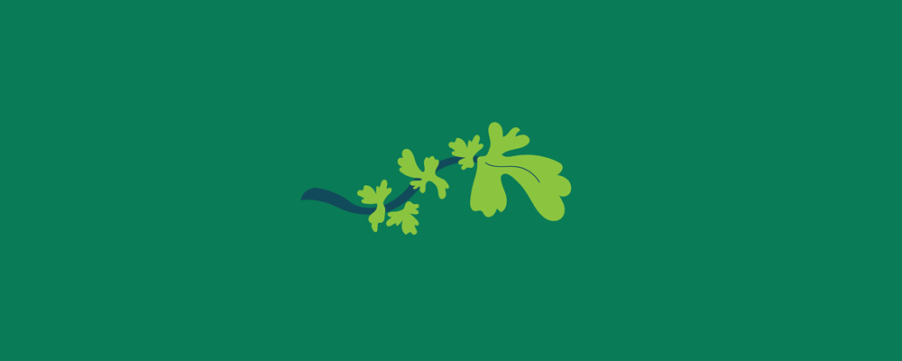 CILANTRO.gif