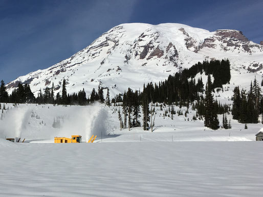 Paradise Weekday Closure: Updates & the Road Ahead