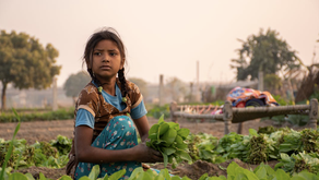 The Current State of Child Labor in the WorldCove Johnson Rabidoux
