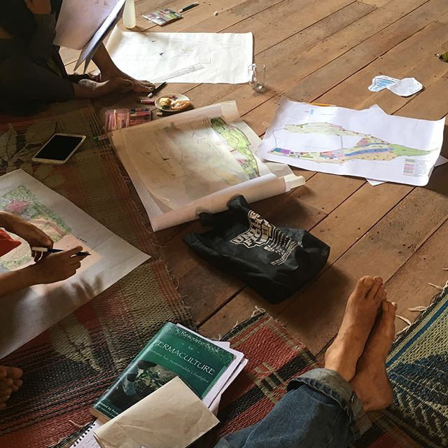 Brogo PDC: 12-Day Permaculture Design Nov 9-21, 2025