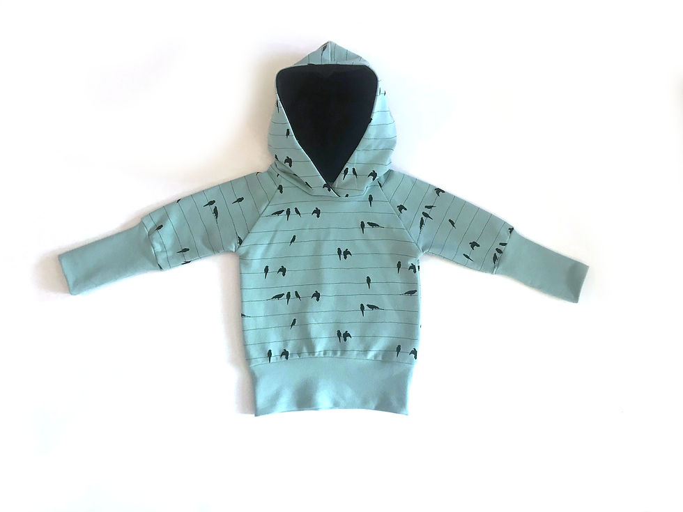 Thumbnail: Sweat Hoodie Évolutif  -Birds