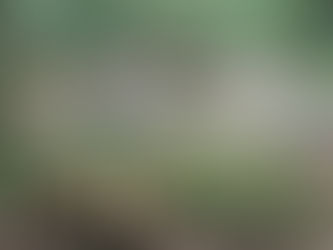 DRNA informa horario de servicios a la ciudadanía durante la Semana Santa