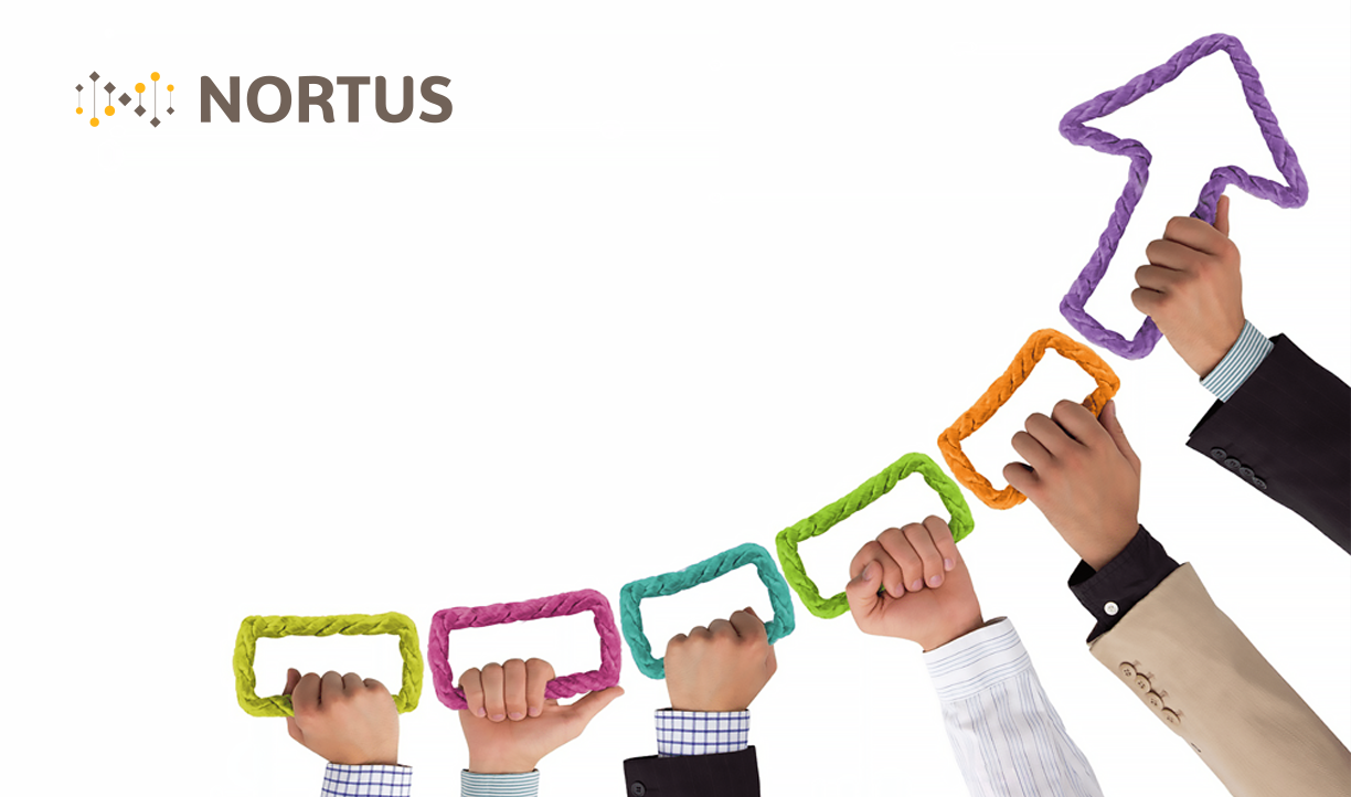 Plano de sucessão e longevidade organizacional  Nortus 
