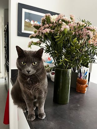 Suki