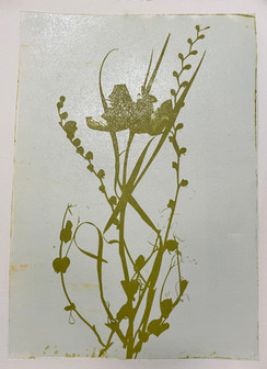 Image on Blomster