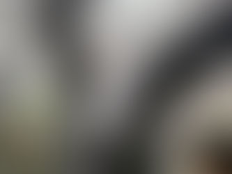 桜さくらsakura🌸