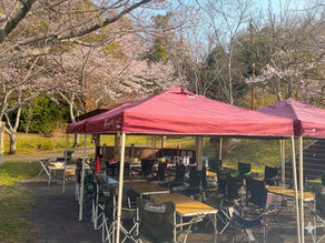 お花見BBQが大阪で大盛り上がり