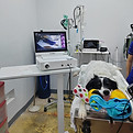 Endoscopia veterinaria