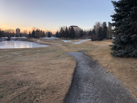 January 16 Update - Chinook snow depletion, late April spring conditions, snow is gone!