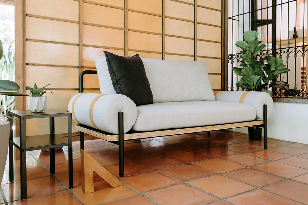 Thumbnail: SOFA O (2 PLAZAS)