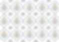 BM_Pattern_Horizontal_White copy.jpg