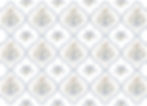 BM_Pattern_Horizontal_White copy.jpg